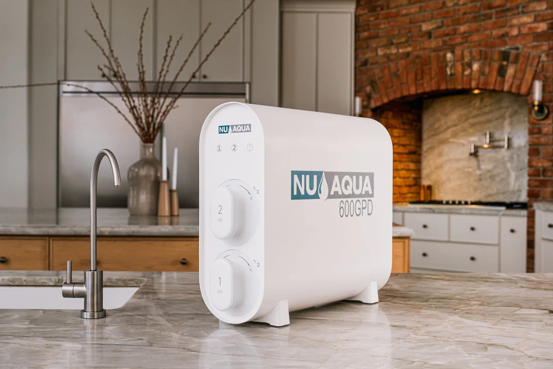 Tankless RO system with Standard Silver Faucet *FOR PURCHASE*