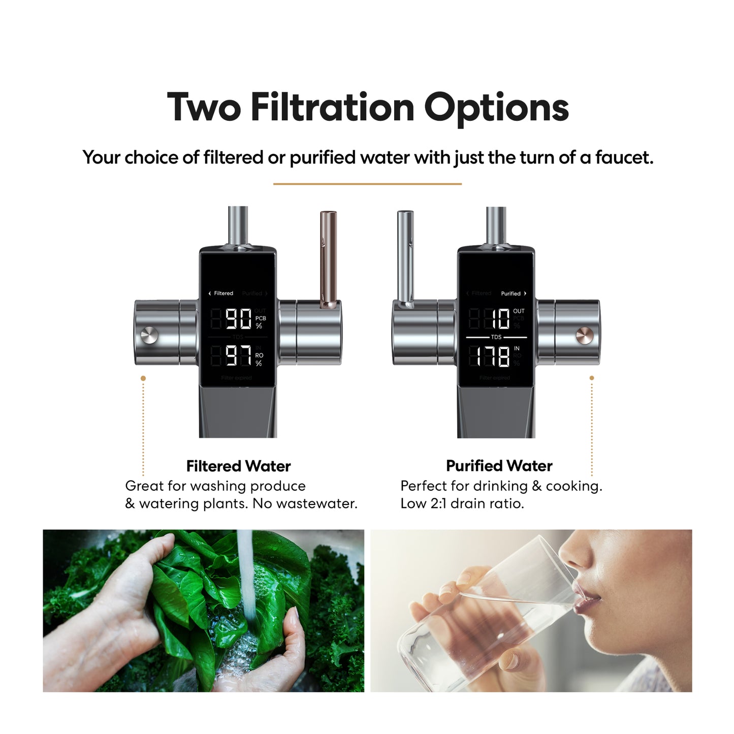 Tankless RO system with RO and Filtered Water Options
